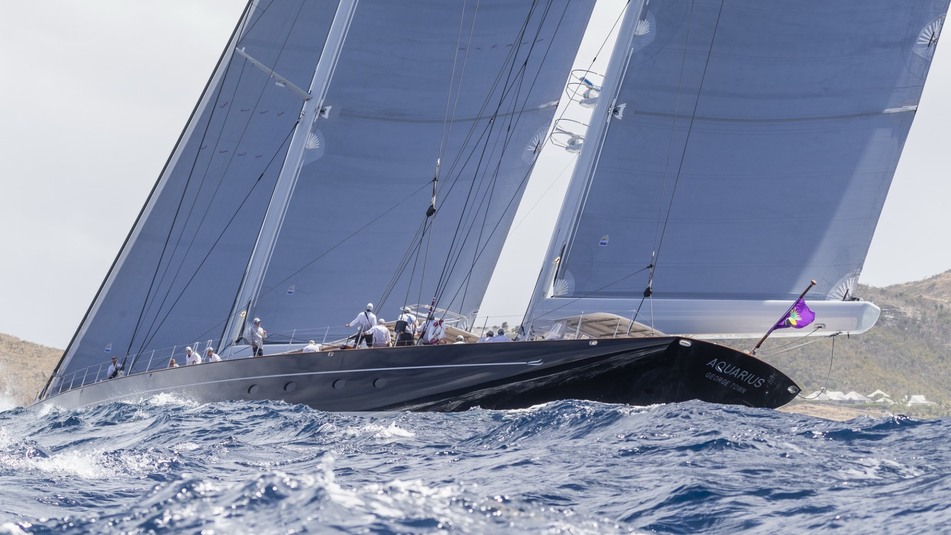 REGATTA SUCCESS