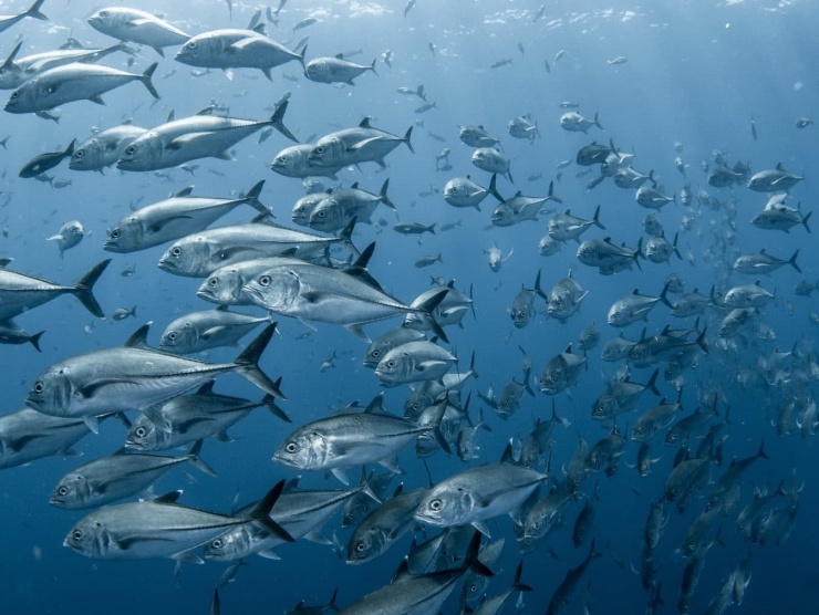 byRoryMoore_viaWinchDesign