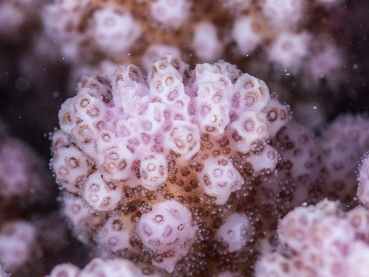 byRoryMoore_viaWinchDesign