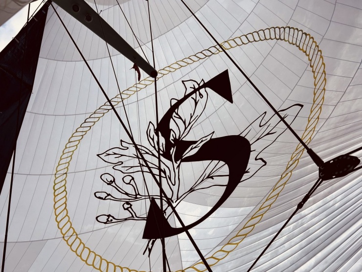 New Zealand Millenium Cup 2025 - 5