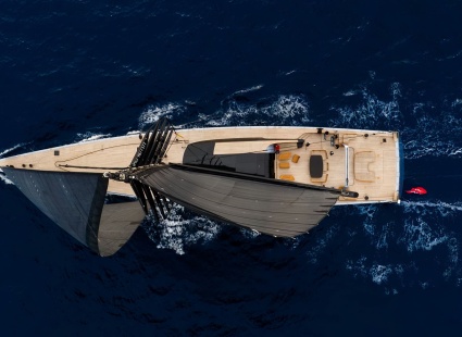 Image Sarissa's eco credentials