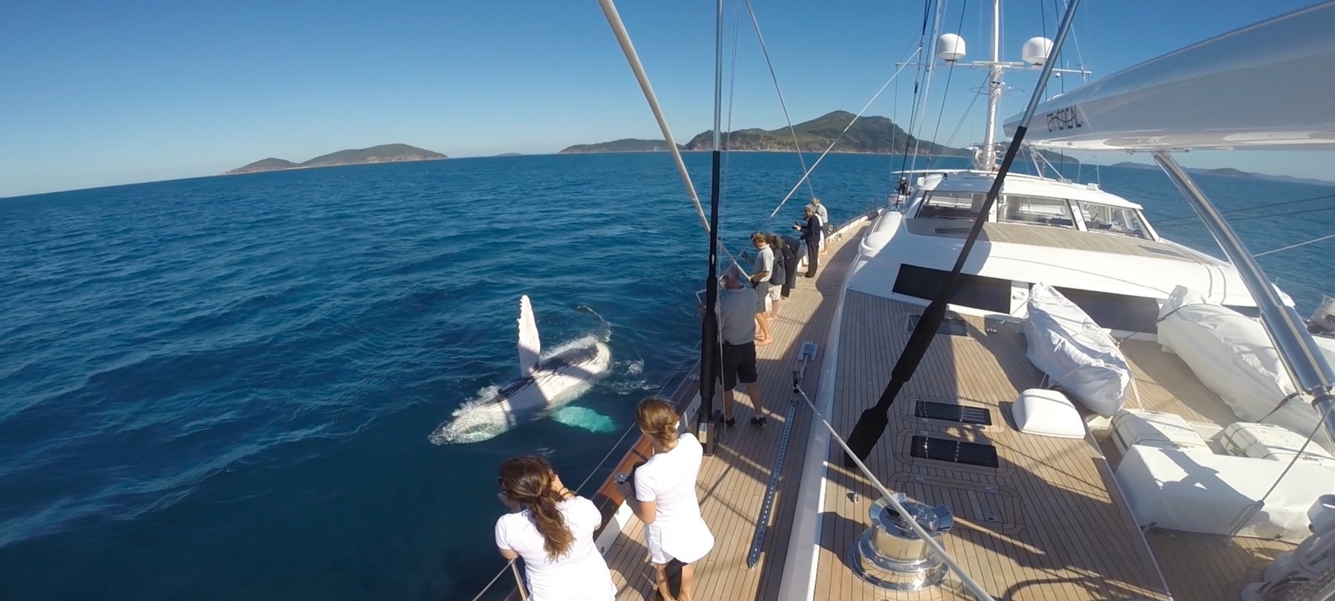 ON BOARD WITH BILL JOY