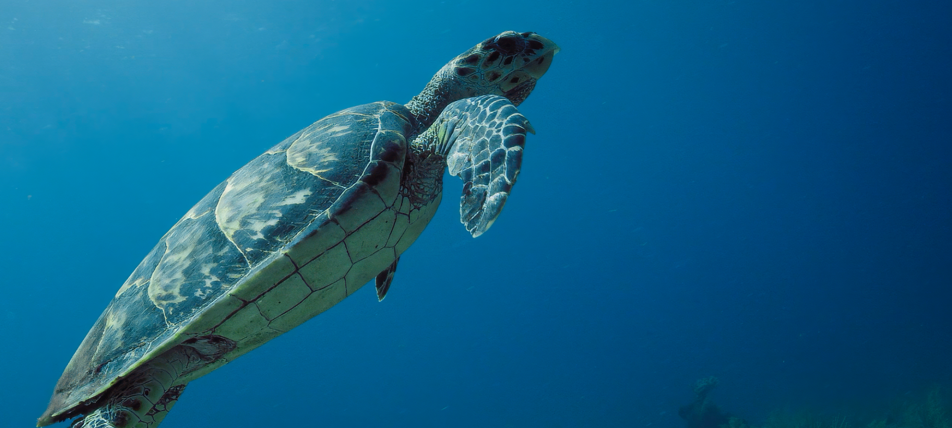 PROJECT TIDAL SHIFT: GUIDING THE WAY TO SUSTAINABLE YACHTING