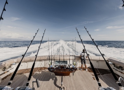 Image SPECIAL FROM EVERY ANGLE