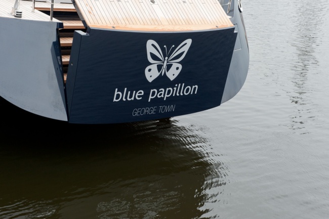 Blue papillon -
