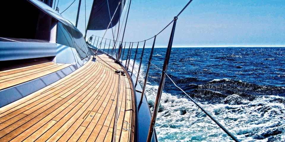 Technical details Blue papillon
