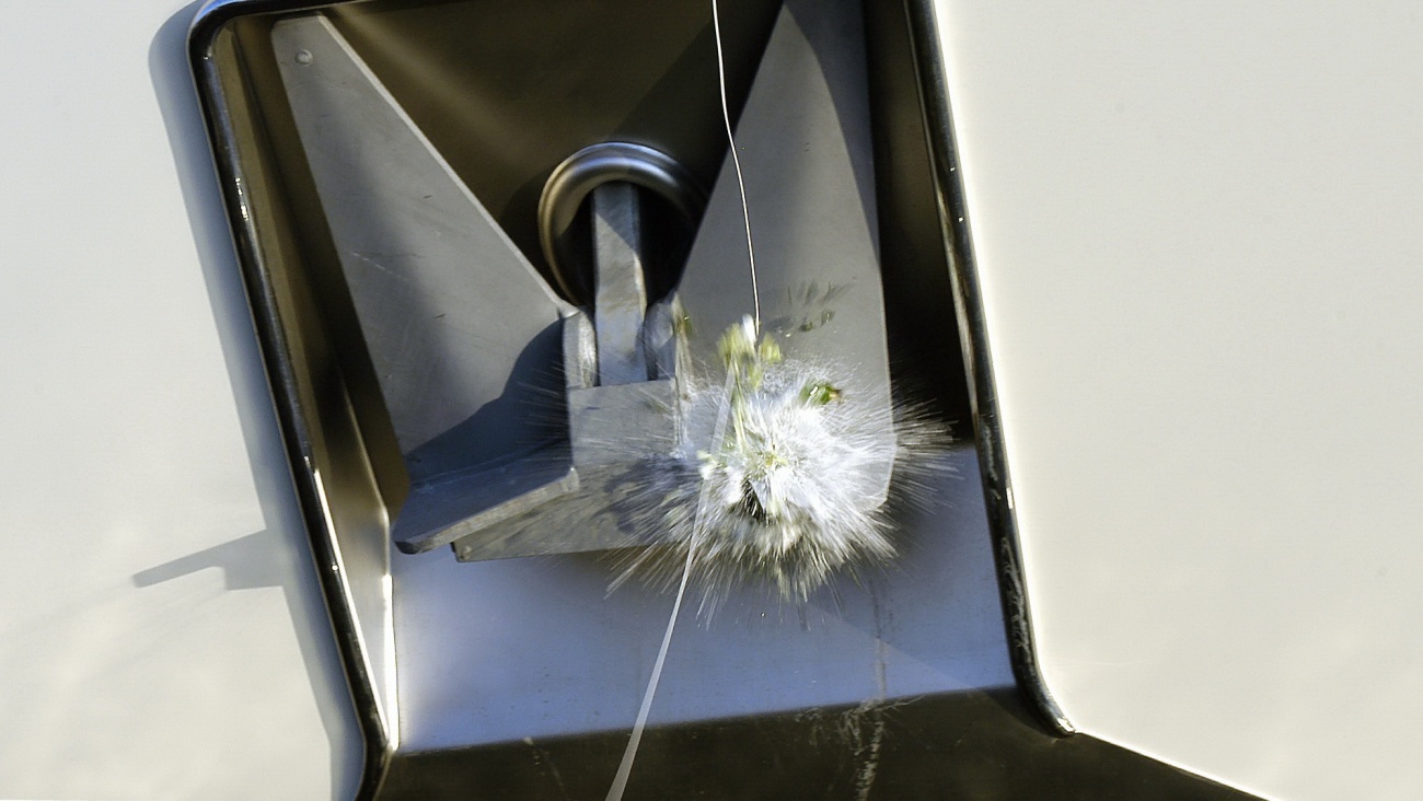 Image Delivered Yachts