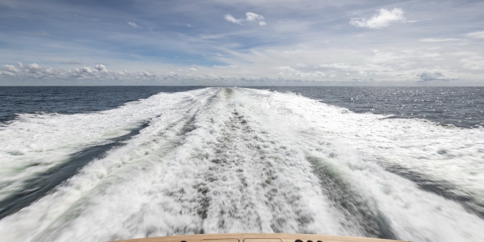 Main data Special One